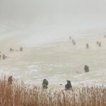 Juglas iedzīvotājas fiksēts skats uz makšķerniekiem 28. februāra miglā