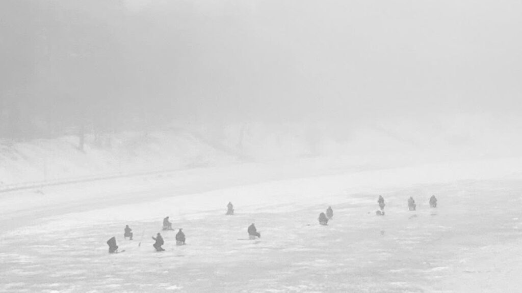 BļitkotÄji Juglas ezerÄ biezÄ miglÄ izskatÄs pÄc pingvÄ«niem